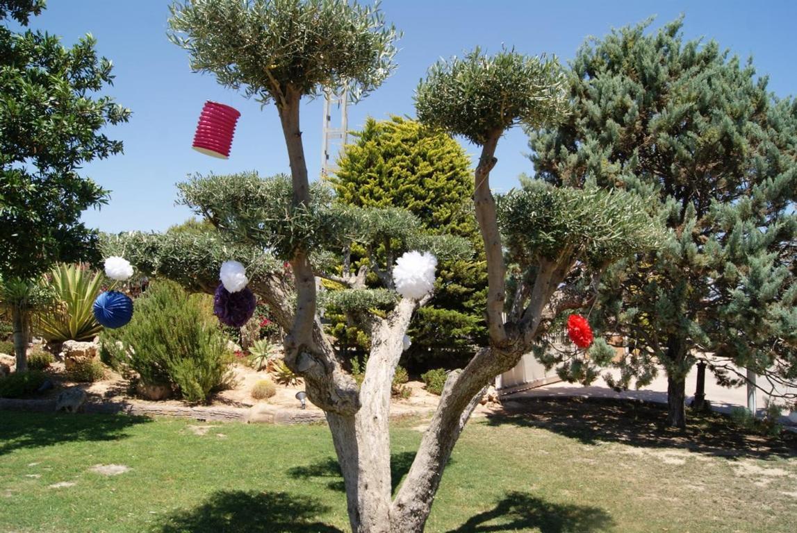 Daimés Los Jardines De Lola מראה חיצוני תמונה