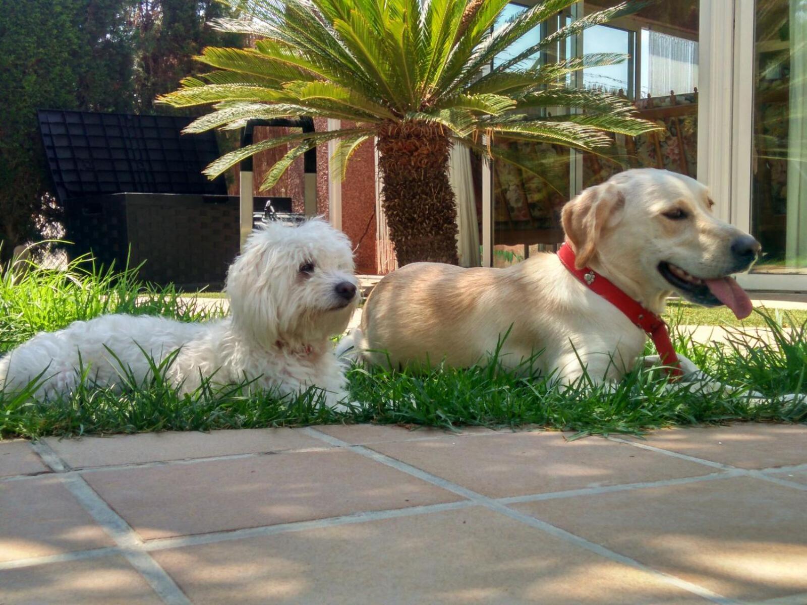 Daimés Los Jardines De Lola מראה חיצוני תמונה