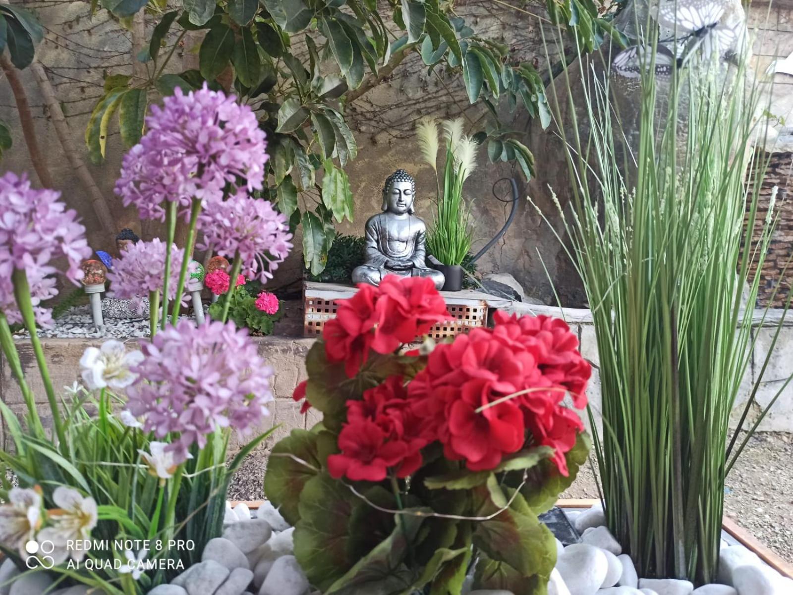 Daimés Los Jardines De Lola מראה חיצוני תמונה