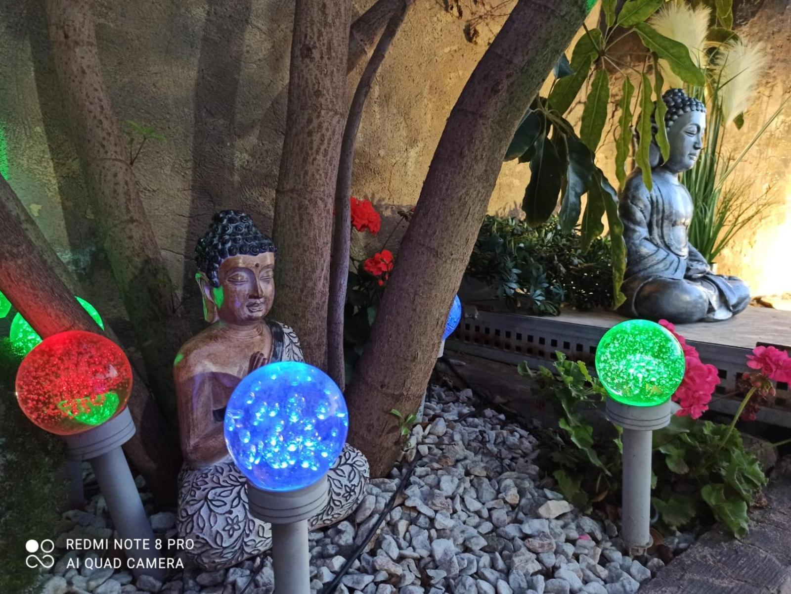 Daimés Los Jardines De Lola מראה חיצוני תמונה